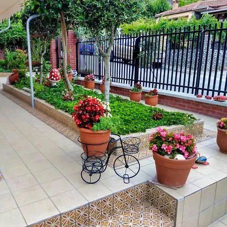 アパート Mama's Cozy 3